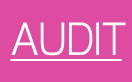 AUDIT