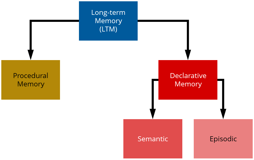 Components of long-term memory - Procedural and Declarative, with Declarative further separated into Semantic and Episodic