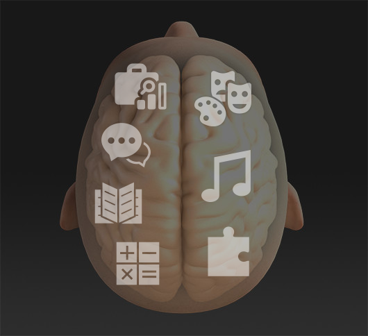 Top-down view of a brain showing the left and right halves